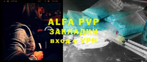 хмурый Алзамай
