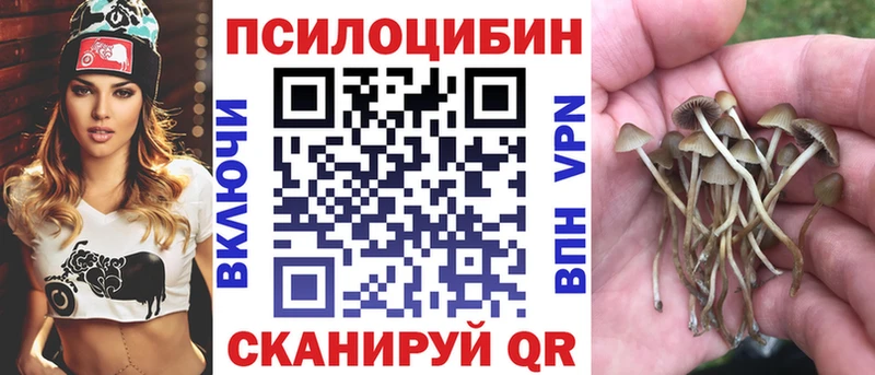 Галлюциногенные грибы Cubensis  Купить закладки  Горняк 